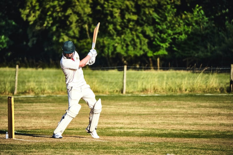 Cricket player